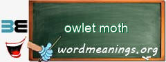 WordMeaning blackboard for owlet moth
